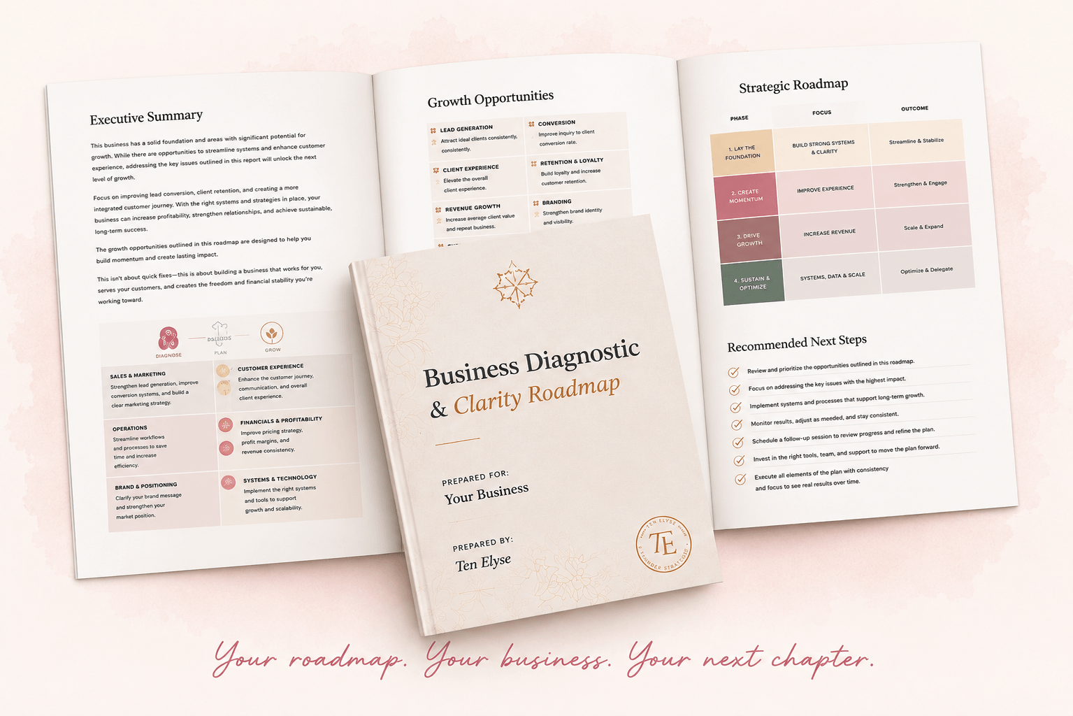 Business Diagnostic & Clarity Roadmap — the deliverable document
